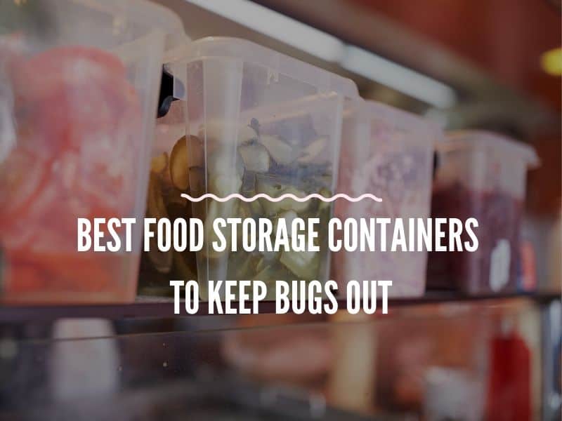 Some Food Storage Containers to Keep Bugs Out